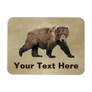 Ímã Urso de Kodiak