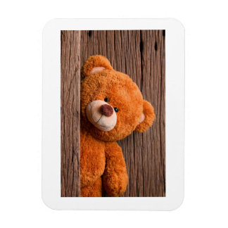 Ímã Urso de Pelúcia Adorável Aniversário Infantil Salv