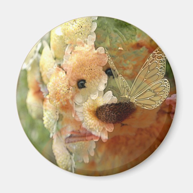 Imã Urso de Teddy (Frente)