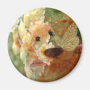 Imã Urso de ursinho