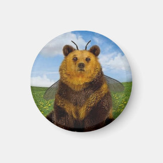 Imã Urso do Bumble no Campo do Dandelion