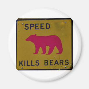 Imã urso dos matares da velocidade