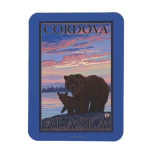 Ímã Urso e Cub - Cordova, Alaska