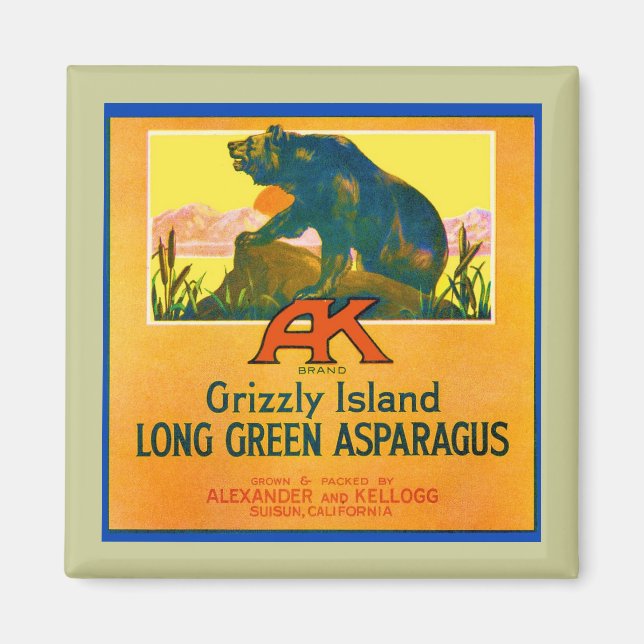 Imã Urso Grizzly (Frente)