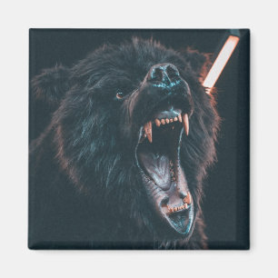 Imã Urso Negro Bravo Dente Urso Negro
