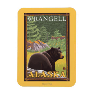Ímã Urso Negro na Floresta - Wrangell, Alaska