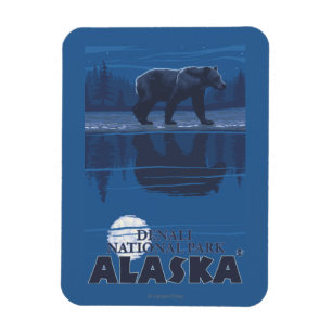 Ímã Urso no luar - parque nacional de Denali, Alaska