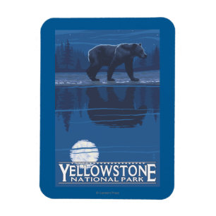 Ímã Urso no luar - parque nacional de Yellowstone