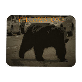 Ímã Urso no Parque Nacional da Estrada Yellowstone WY