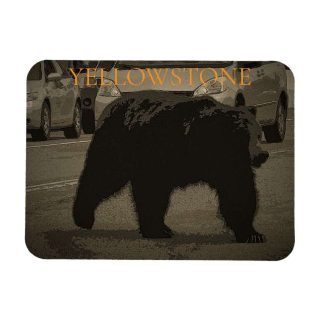 Ímã Urso no Parque Nacional da Estrada Yellowstone WY (Horizontal)