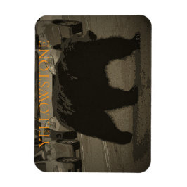 Ímã Urso no Parque Nacional da Estrada Yellowstone WY