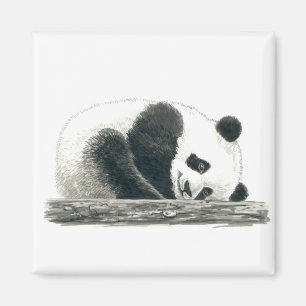 Imã Urso Panda