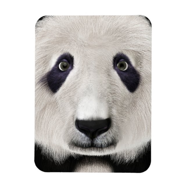 Ímã Urso Panda (Vertical)