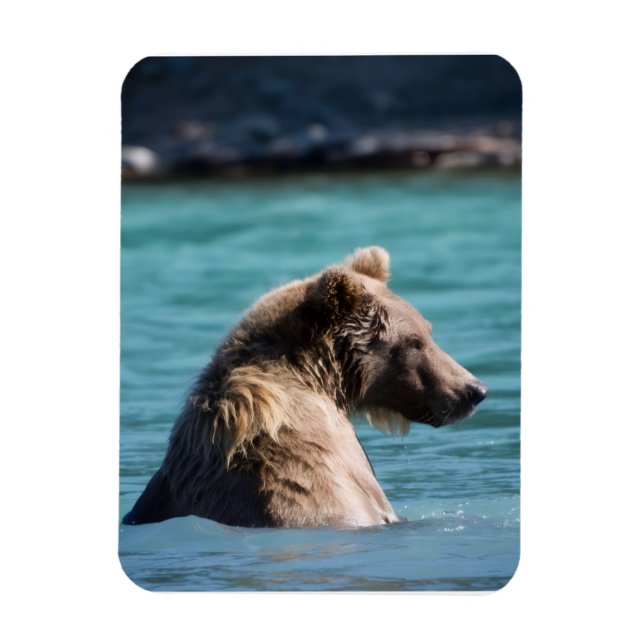 Ímã Urso Pardo Majestoso do Alasca (Vertical)