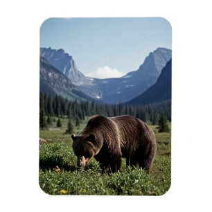 Ímã Urso Pardo no Parque Nacional Glacier Travel