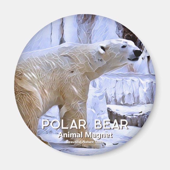 Imã Urso Polar マ グ ネ fiscalização ト (Frente)
