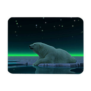 Ímã Urso polar da borda do gelo