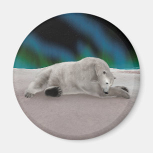 Imã Urso Polar Descansando
