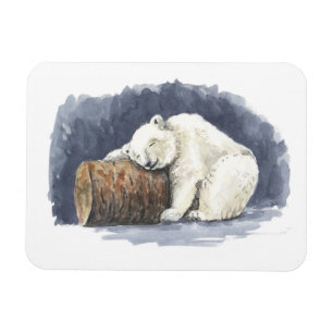Ímã Urso polar dormindo, arte aquarela