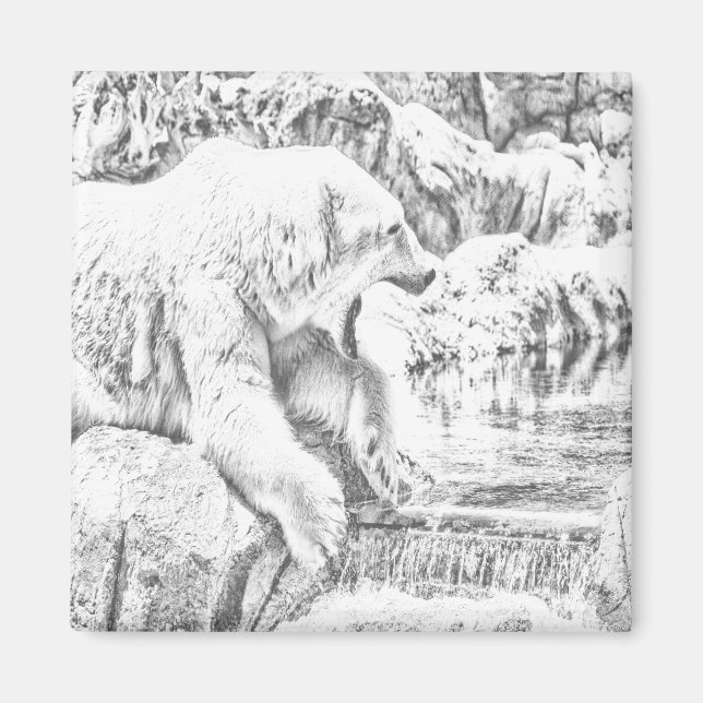 Imã Urso polar e água (Frente)