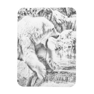 Ímã Urso polar e água