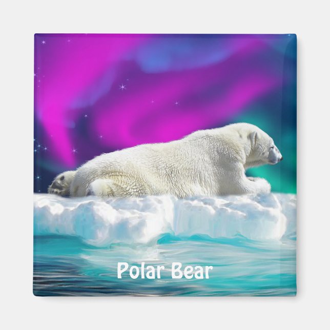 Imã Urso Polar, Inundação De Gelo E Magneta De Arte Se (Frente)