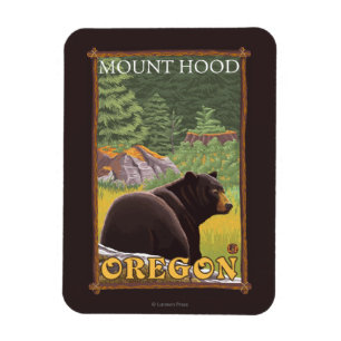 Ímã Urso preto na floresta - capa da montagem, Oregon