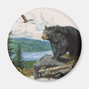 Imã Urso preto Ridge