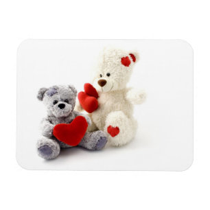 Ímã Ursos De Teddy Têm Magnetos De Altura Premium