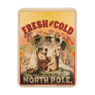 Ímã Ursos Polares Estão Aproveitando Lâmpadas De Cerve