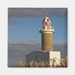 Imã Uruguai, Departamento de Montevidéu, Montevidéu. 3