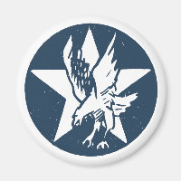 USA Fighting Squadron Insignia