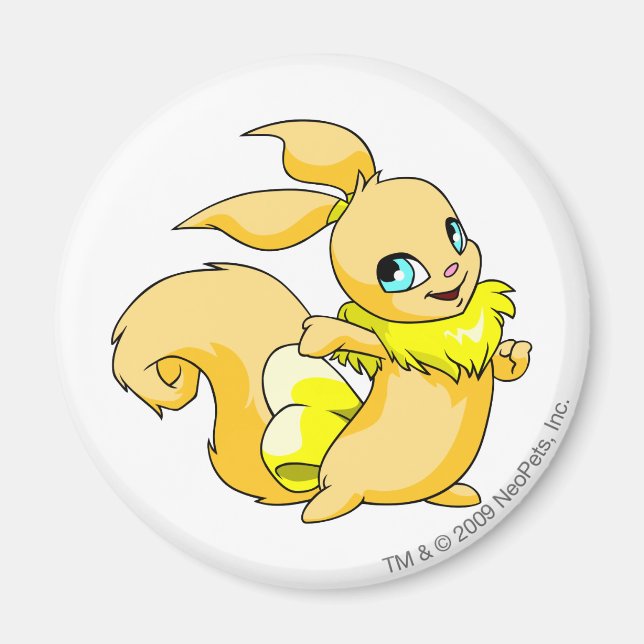 Imã Usul Amarelo (Frente)