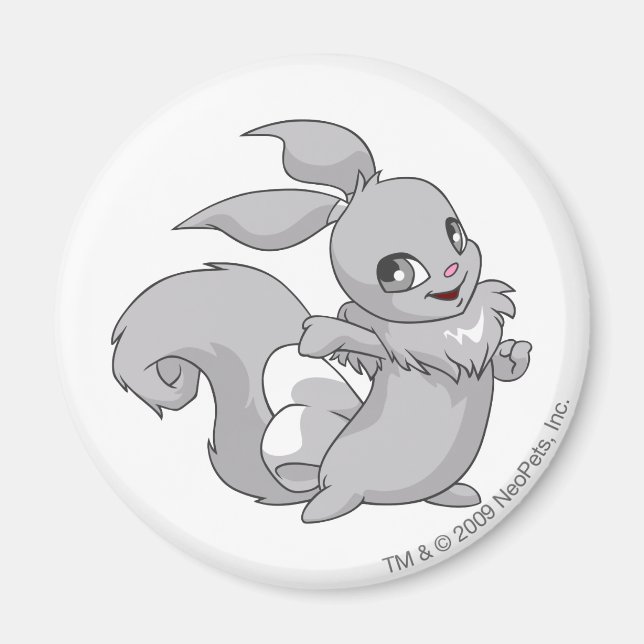 Imã Usul Silver (Frente)