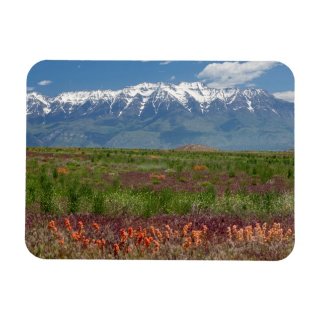 Ímã Utah, EUA. O Mt. Timpanogos se ergue acima (Horizontal)