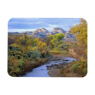 Ímã UTAH. EUA. Pleasant Creek no outono ao nascer do s