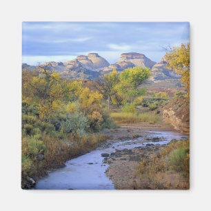 Imã UTAH. EUA. Pleasant Creek no outono ao nascer do s