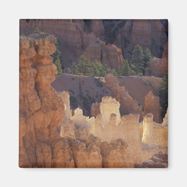 Imã Utah, Parque Nacional Bryce Canyon. Hoodoos, (Frente)