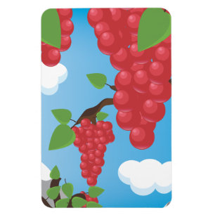 Ímã uvas