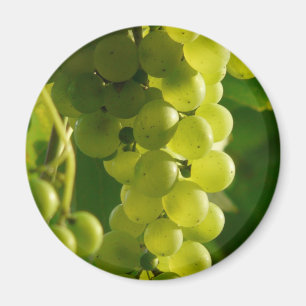 Imã Uvas