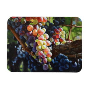 Ímã Uvas de abundância para amantes e vinhas de vinho