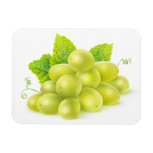 Ímã Uvas e hortelã