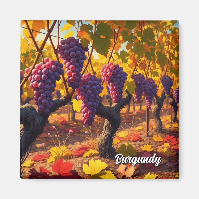 Imã Uvas na Borgonha França Viagem (Frente)