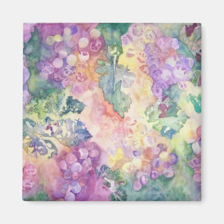 Imã Uvas No Magneto Solar