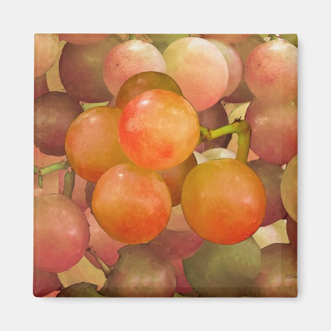 Imã Uvas sem Frath (Frente)