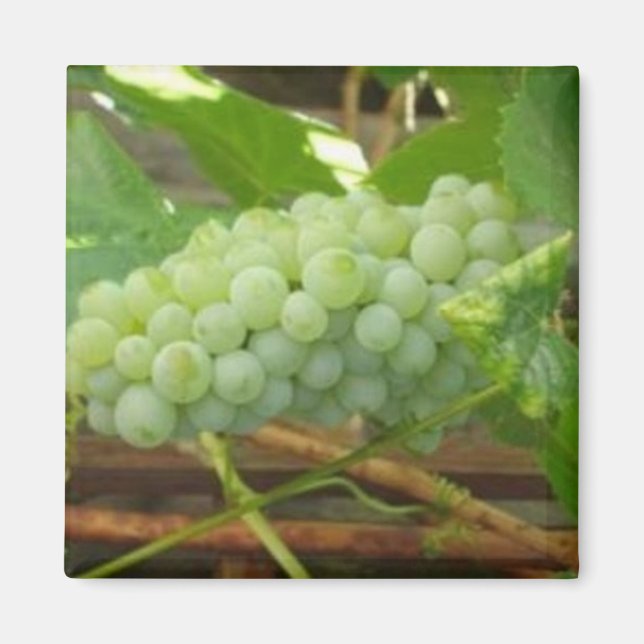 Imã Uvas Verdes da Califórnia (Frente)