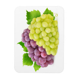 Ímã Uvas vermelhas e brancas