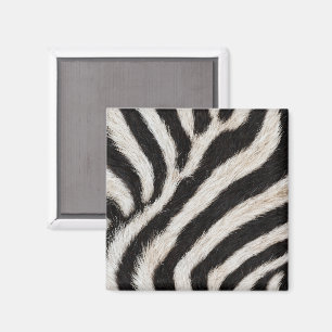 Imã Vá Listra de Zebra Preto Branco Olhar de Pelúcia F