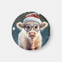 Vaca Bela Em Terra Alta Na Neve