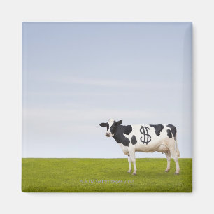 Imã Vaca de Holstein Dairy com manchas na forma de